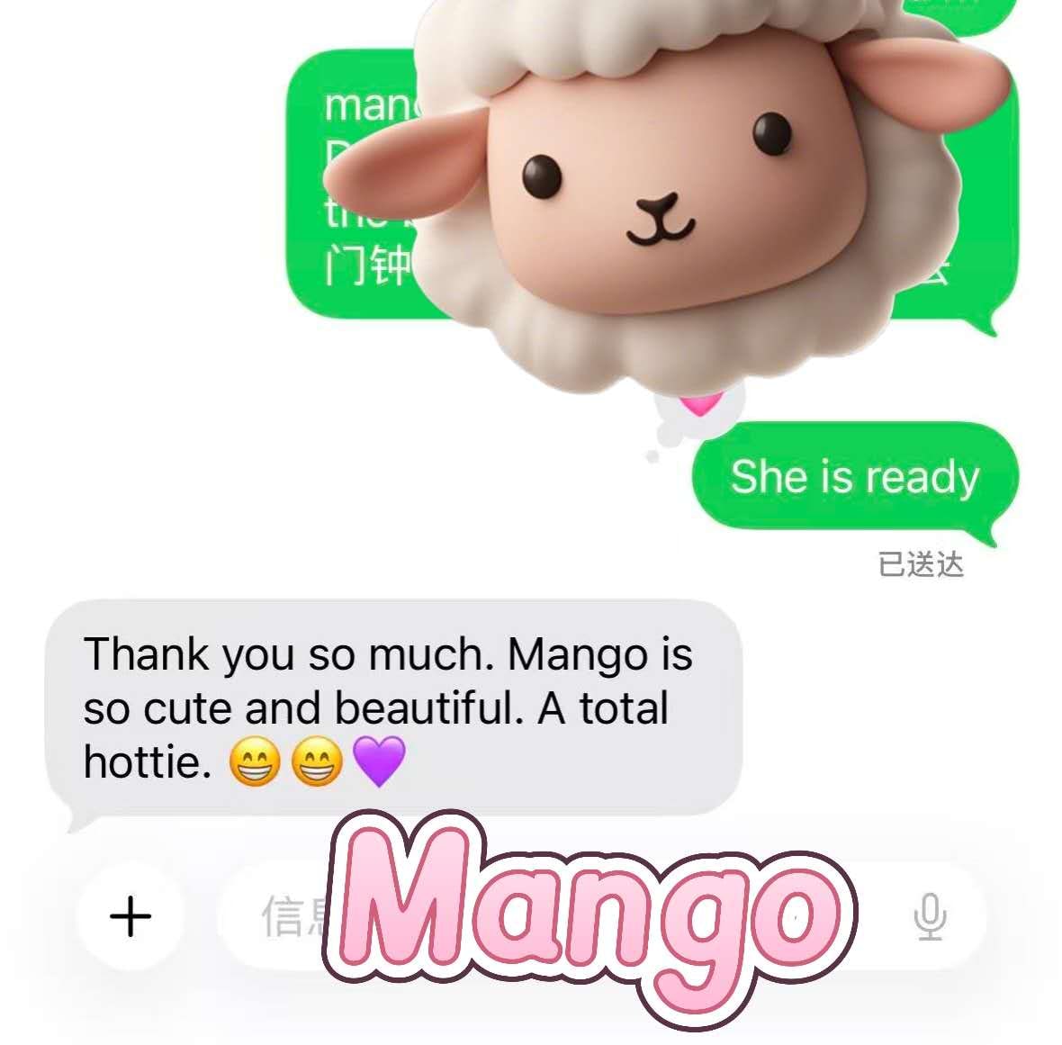 Mango — photo 15 of 20