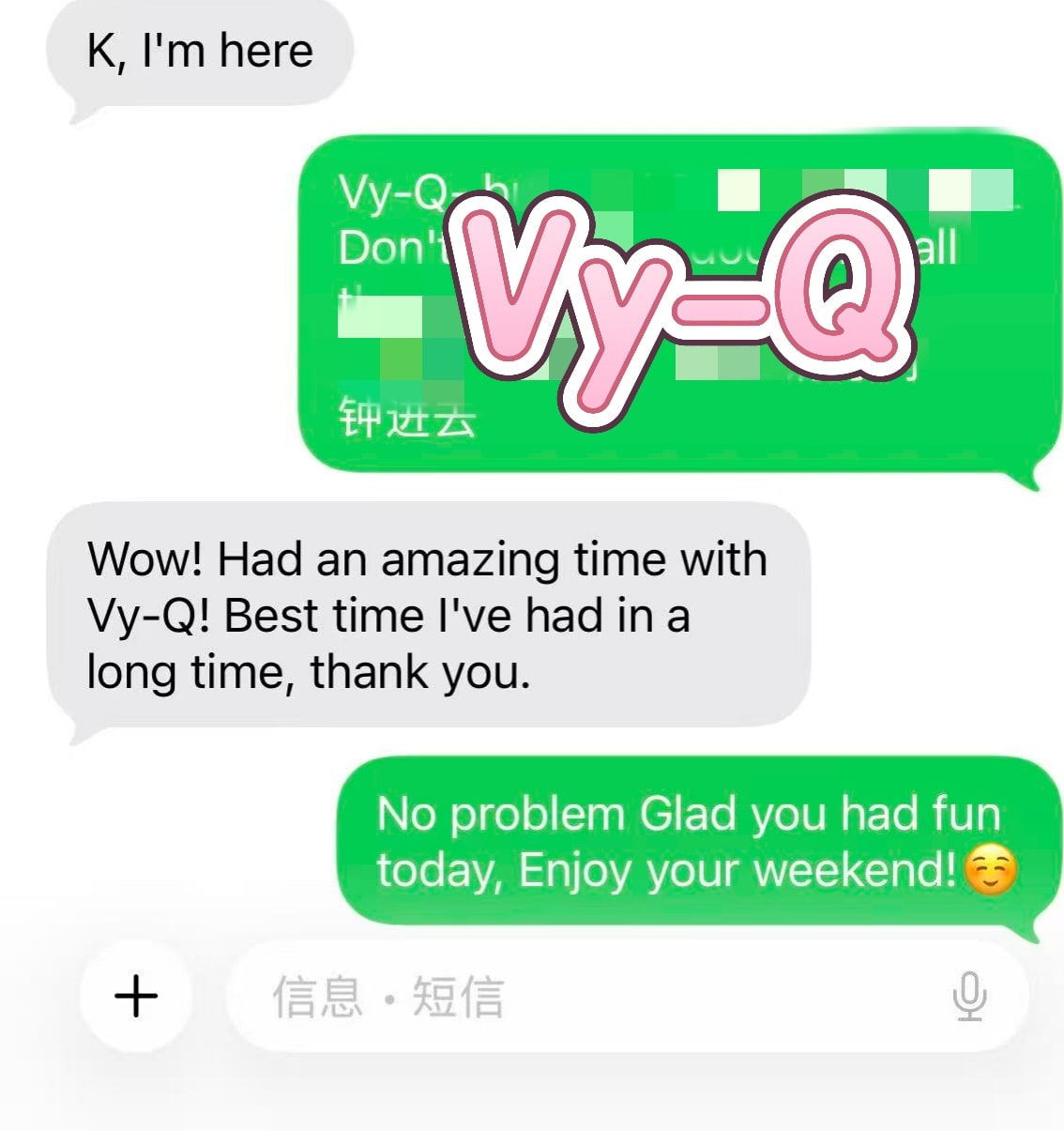 Vy-Q — photo 13 of 27