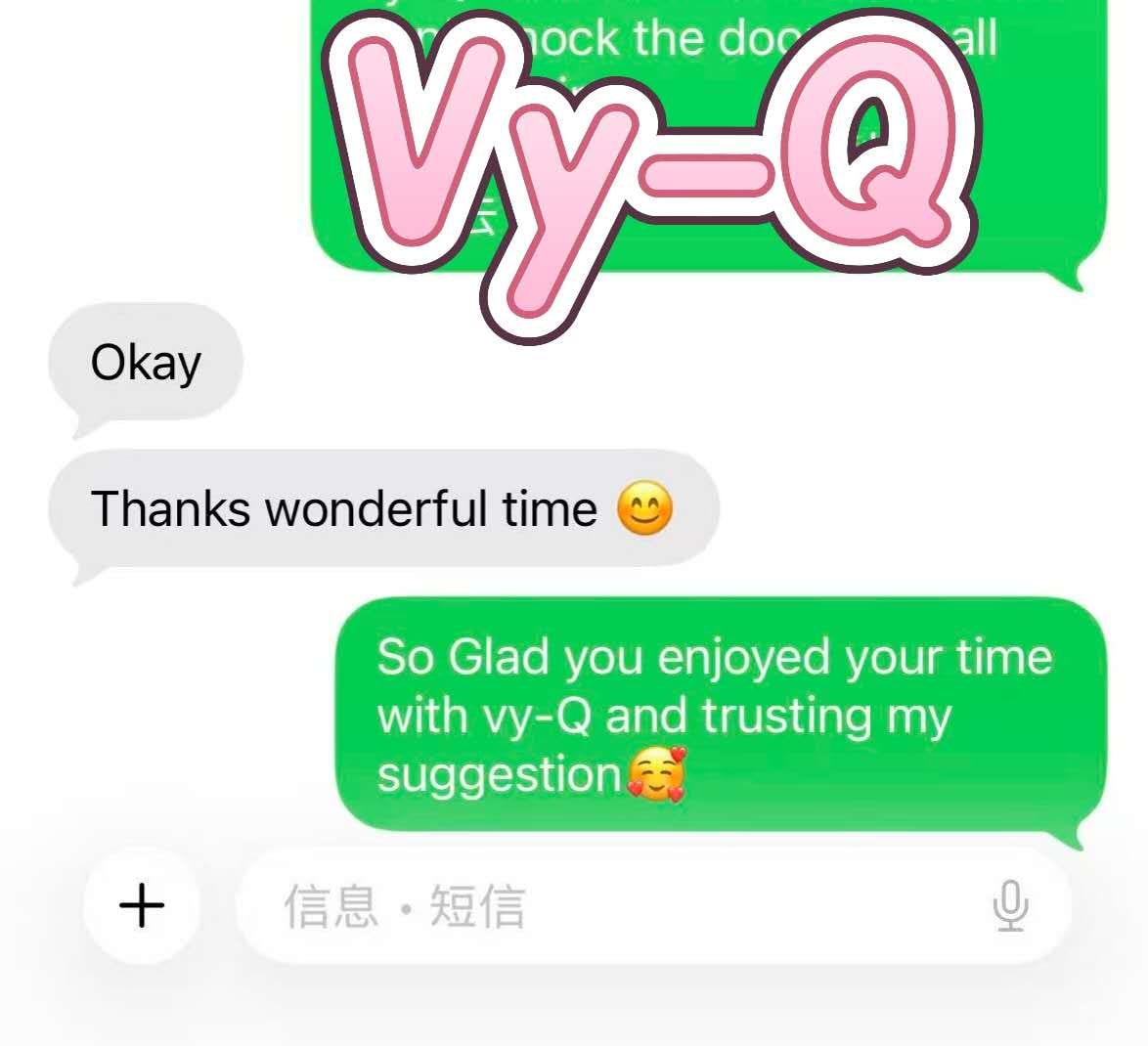 Vy-Q — photo 17 of 27