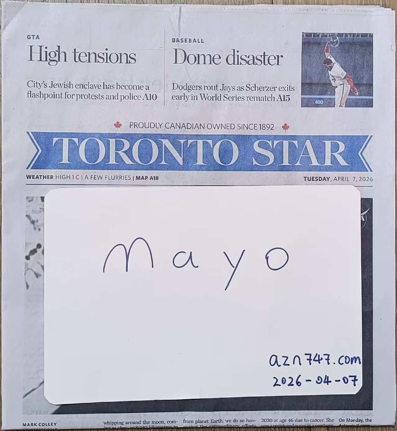 Mayo — photo 4 of 4