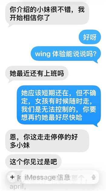 Wing — photo 3 of 5