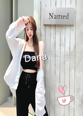 Dana provider preview