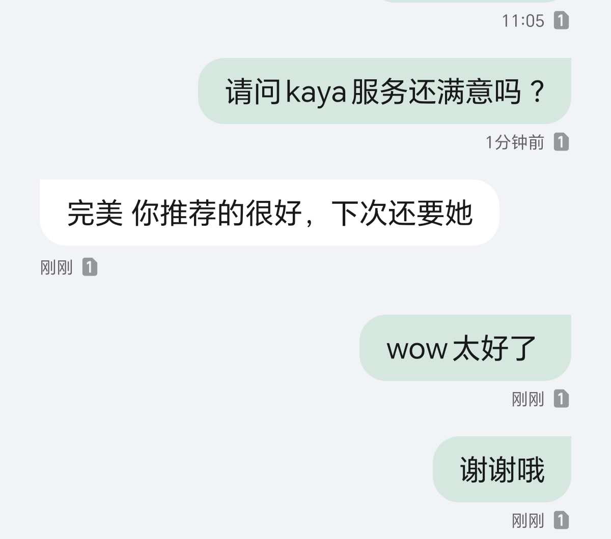 KAYA provider preview