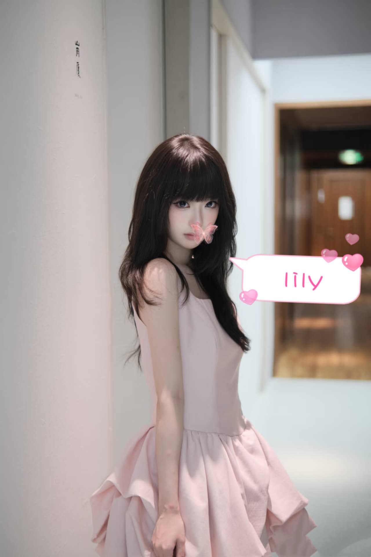 Lily provider preview