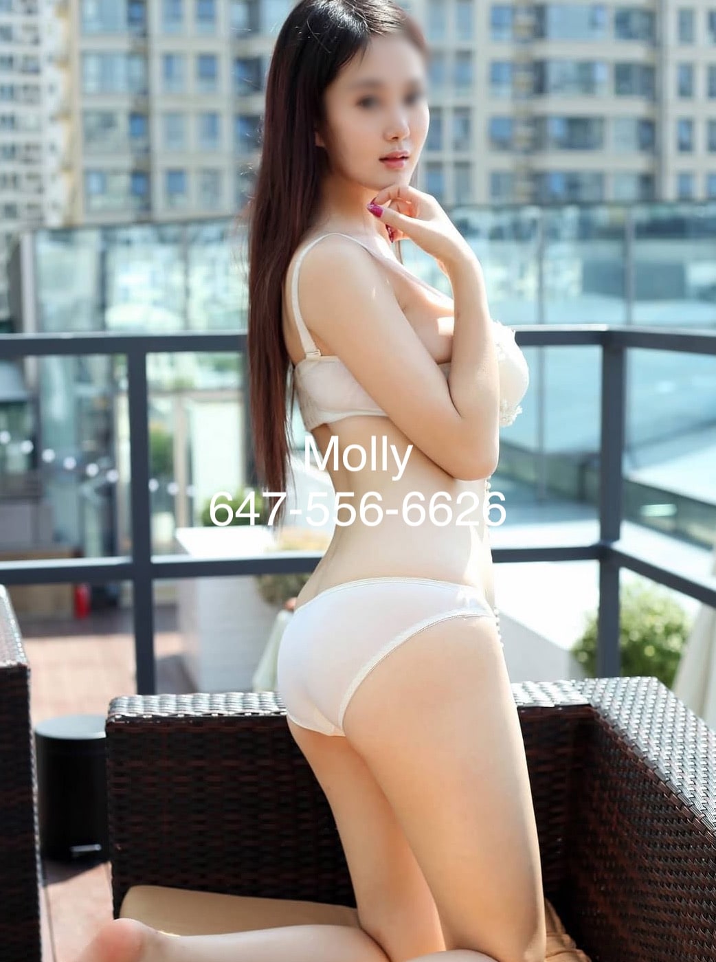 MOLLY provider preview
