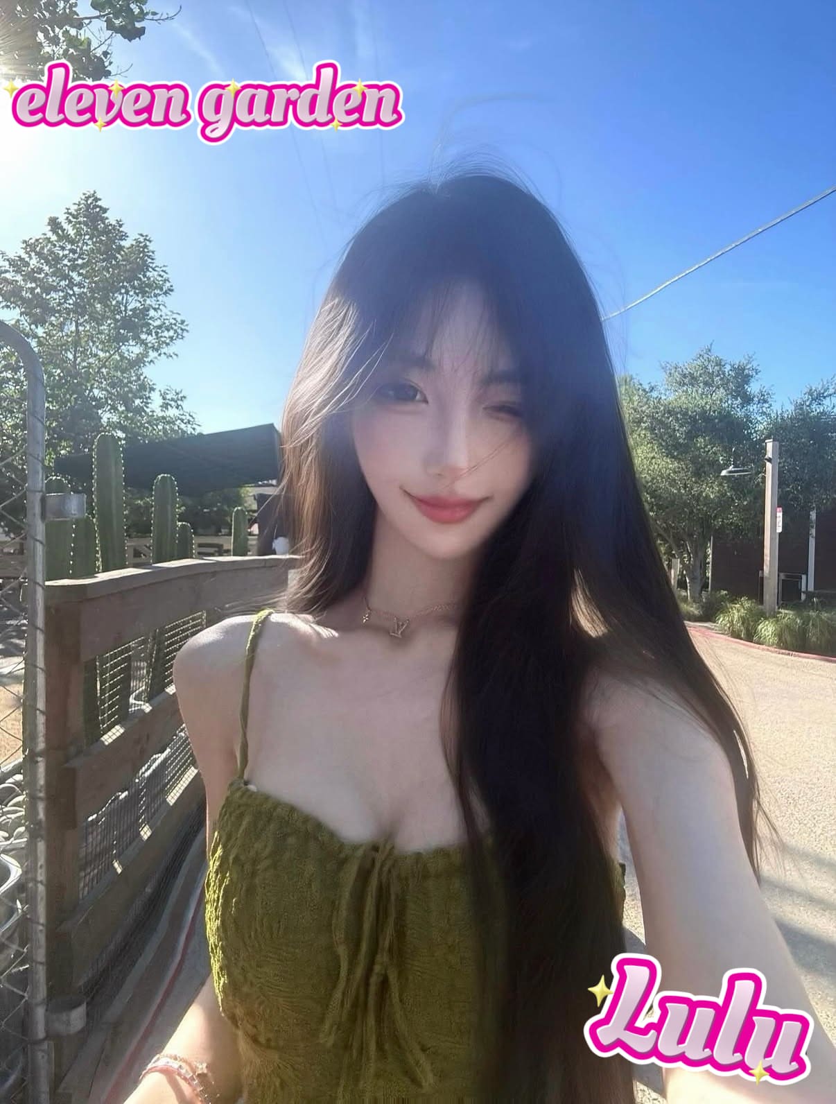 Lulu provider preview
