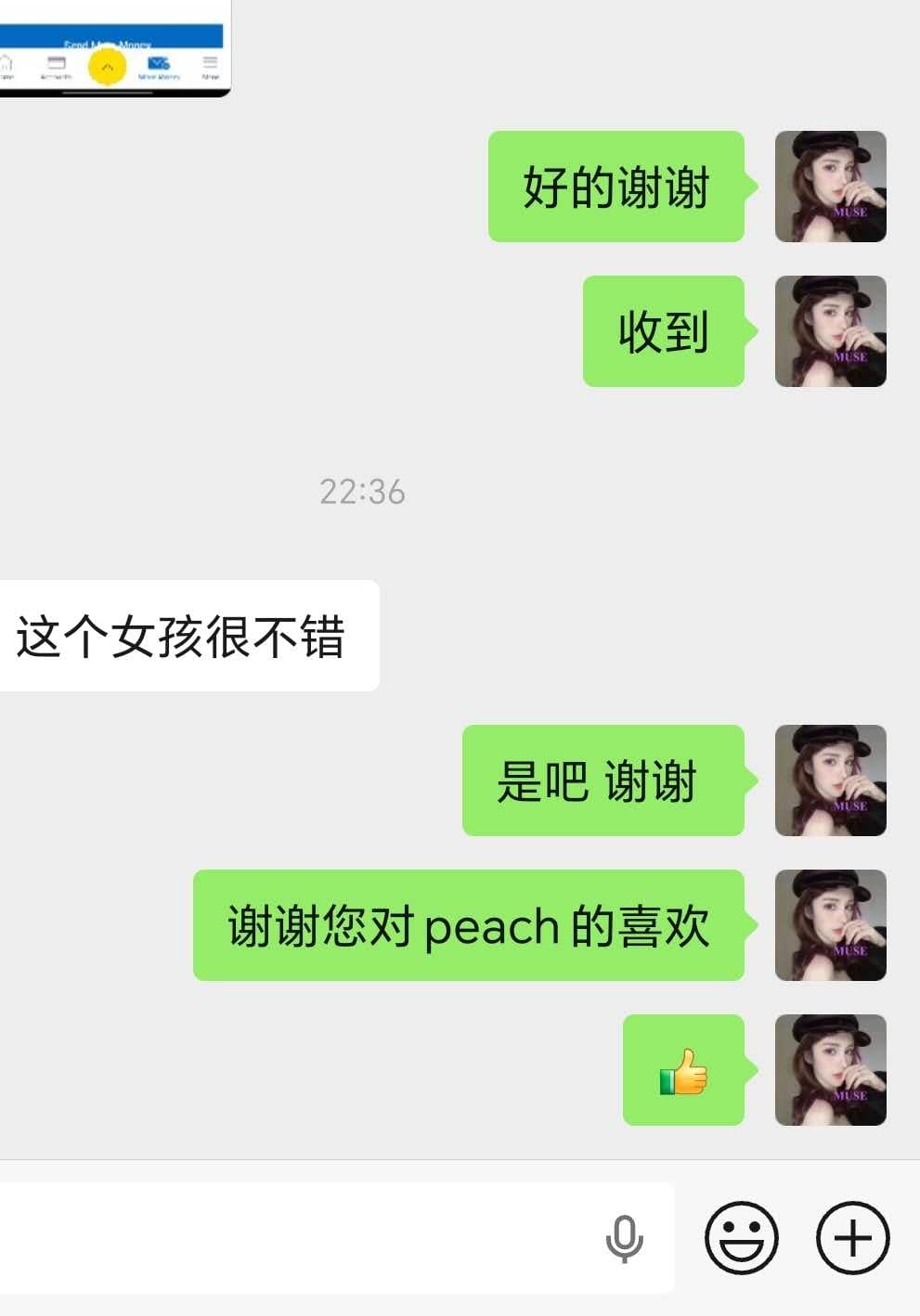 Peach provider preview