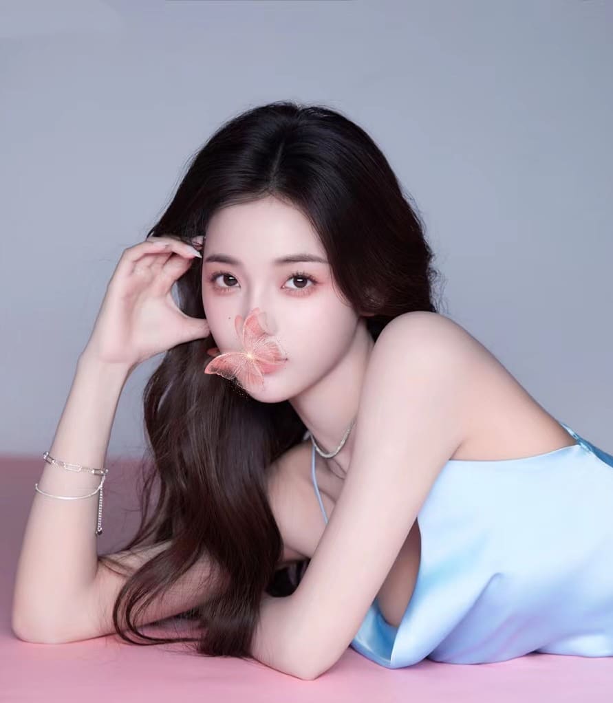 Gina provider preview